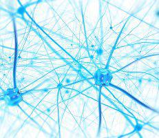 Neuropathy Services